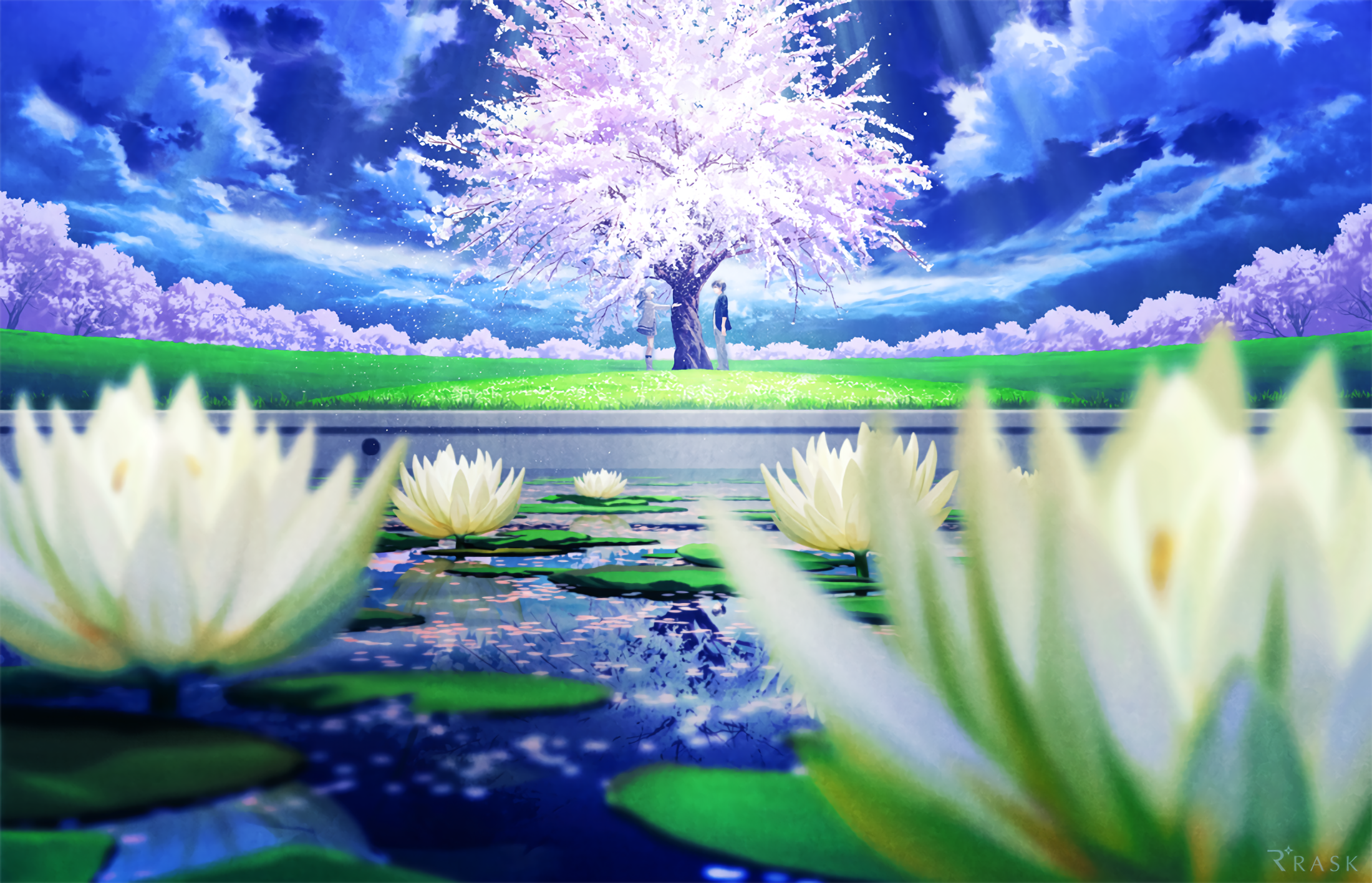 实用油猴脚本合集